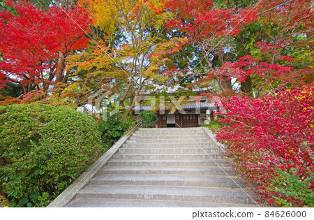 山口縣下關市調布市奧巴庫宗的觀音寺 山口縣下關市調布市奧巴庫宗的觀音寺 84626000
