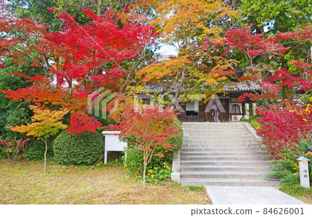 Kakuonji Temple, a temple of the Obaku sect in Chofu, Shimonoseki City, Yamaguchi Prefecture Kakuonji Temple, a temple of the Obaku sect in Chofu, Shimonoseki City, Yamaguchi Prefecture 84626001