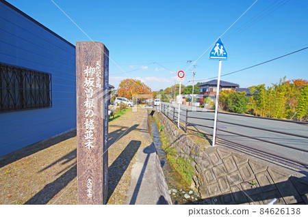 A row of trees in Yanagizaka Sone, a popular spot for autumn leaves in Kurume City, Fukuoka Prefecture 84626138