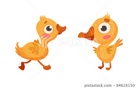 Funny yellow chickens. Farm birds poultry breeding cartoon vector illustration Funny yellow chickens. Farm birds poultry breeding cartoon vector illustration 84628150