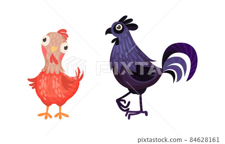 Funny hen and rooster, farm poultry breeding cartoon vector illustration 84628161