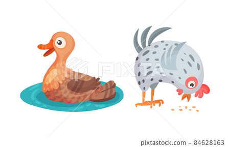 Duck and hen. Farm birds poultry breeding cartoon vector illustration Duck and hen. Farm birds poultry breeding cartoon vector illustration 84628163