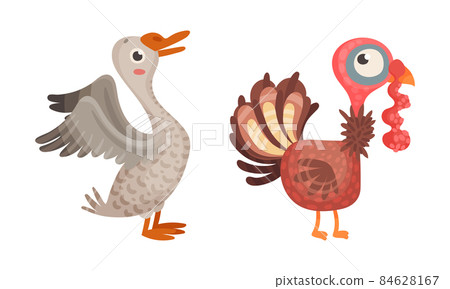 Goose and turkey, farm birds poultry breeding cartoon vector illustration Goose and turkey, farm birds poultry breeding cartoon vector illustration 84628167