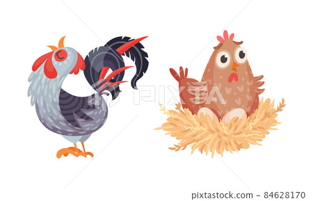 Rooster and nesting hen, farm poultry birds breeding cartoon vector illustration Rooster and nesting hen, farm poultry birds breeding cartoon vector illustration 84628170