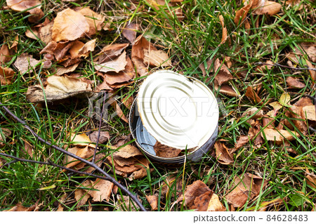 Tin can on the grass, environmental pollution 84628483