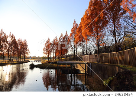 Uchiagegawachisui Ryokuchi [Neyagawa City, Osaka Prefecture] 84628484
