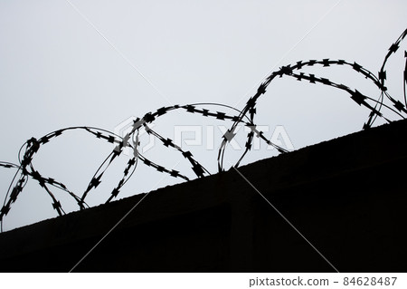 Silhouette of a metal wire on a fence Silhouette of a metal wire on a fence 84628487