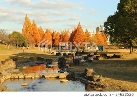 Uchiagegawachisui Ryokuchi [Neyagawa City, Osaka Prefecture] 84628526