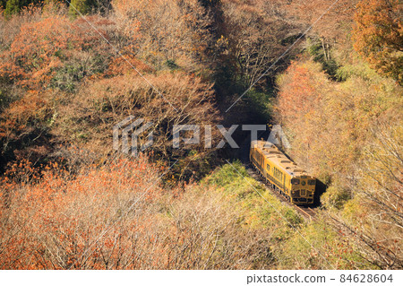 深秋穿越水道的“某列火車”(JR九州) 深秋穿越水道的“某列火車”(JR九州) 84628604