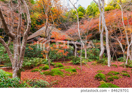 Kyoto in the fall 84629701