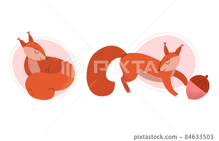 Furry Squirrel Animal with Bushy Tail and Red Coat Vector Set Furry Squirrel Animal with Bushy Tail and Red Coat Vector Set 84633503