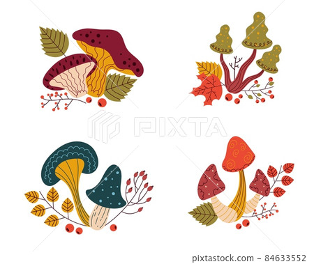 Mushrooms compositions. Cartoon funguses with twigs, berries and leaves. Organic diet vegetable products. Autumn harvest. Poisonous or edible plants. Vector wild botanical elements set Mushrooms compositions. Cartoon funguses with twigs, berries and leaves. Organic diet vegetable products. Autumn harvest. Poisonous or edible plants. Vector wild botanical elements set 84633552