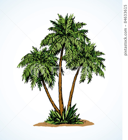 Palm on beach. Vector drawing Palm on beach. Vector drawing 84633615