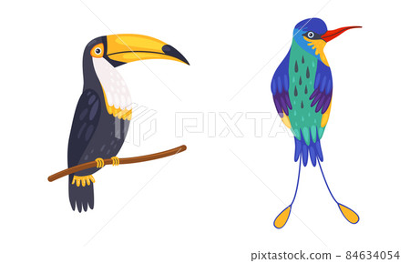 Tropical Bird with Bright Feathers Sitting on Tree Branch Vector Set 84634054