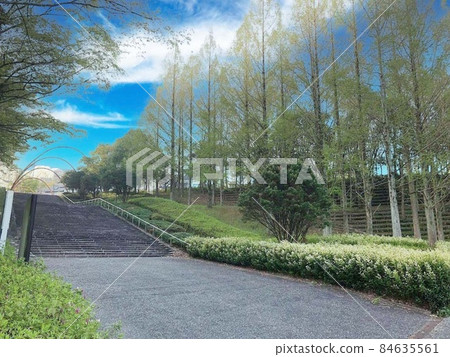 公園樓梯風光 公園樓梯風光 84635561