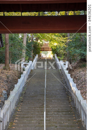 從高崎市正門望去的引道上的小林山拓真寺石階 從高崎市正門望去的引道上的小林山拓真寺石階 84636201