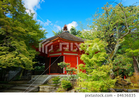 Tofukuji Aizendo, Hachikakuendo in the Northern and Southern Dynasties, the beginning of autumn leaves Tofukuji Aizendo, Hachikakuendo in the Northern and Southern Dynasties, the beginning of autumn leaves 84636835