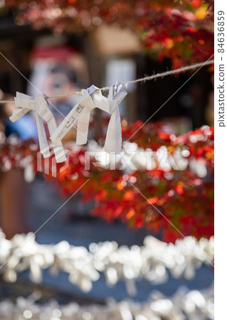 Shaolin Mountain Tatsumaji Temple fortune tied Shaolin Mountain Tatsumaji Temple fortune tied 84636859