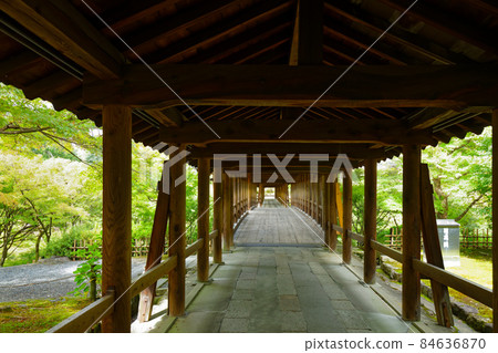 Tofukuji Temple Tsutenbashi Engetsu Bridge and the beginning of autumn leaves Tofukuji Temple Tsutenbashi Engetsu Bridge and the beginning of autumn leaves 84636870