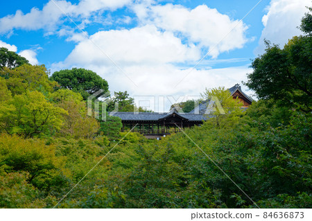 東福寺通天橋與紅葉初秋 84636873