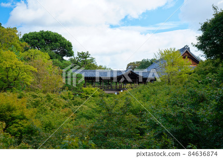 東福寺通天橋與紅葉初秋 東福寺通天橋與紅葉初秋 84636874