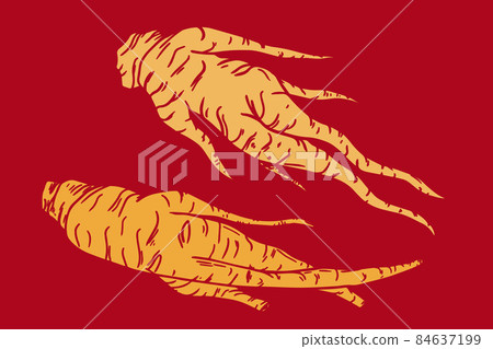 Red korean dried ginseng illustration. Vector illustration 84637199