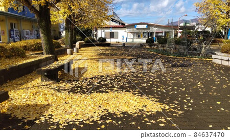 The roundabout in front of "Shin-Ohirashita Station" on the Tobu Line, where ginkgo leaves turned yellow. 84637470