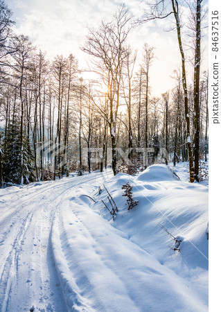 Cross country skiing track in the forest 84637516