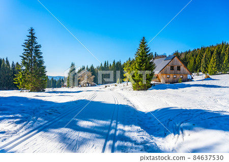 Cross-country skiing in Jizera Mountains Cross-country skiing in Jizera Mountains 84637530