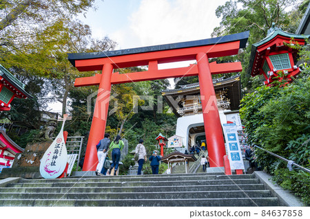 [Kanagawa Prefecture] The powerful vermilion torii gate of Enoshima Shrine 84637858