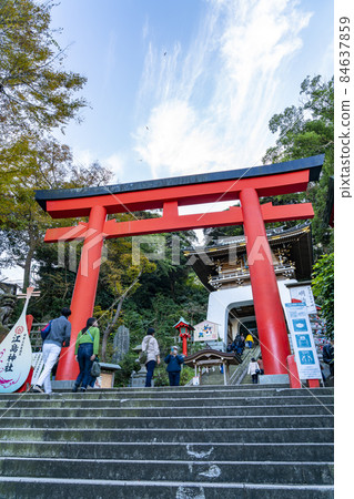 [Kanagawa Prefecture] The powerful vermilion torii gate of Enoshima Shrine 84637859