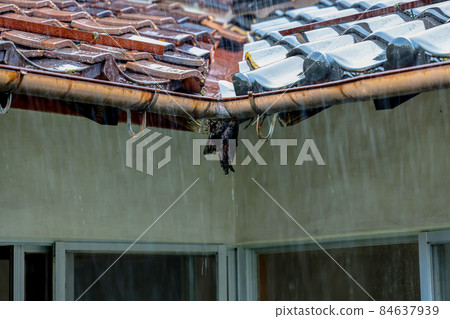Corroded roof eaves and gutters rain Corroded roof eaves and gutters rain 84637939