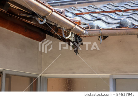 Corroded roof eaves and rain gutters sunny 84637943