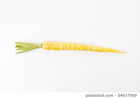 島胡蘿蔔 島胡蘿蔔 84637989