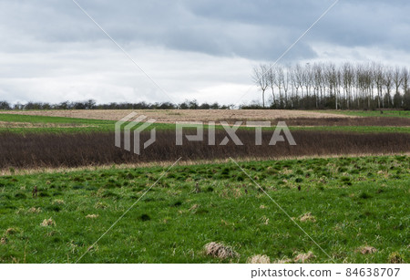 View over trees and meadows at the Belgian countryside View over trees and meadows at the Belgian countryside 84638707