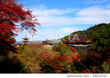 Kiyomizu-dera Autumn Leaves National Treasure Main Hall Mie Tower World Heritage Site 84638767
