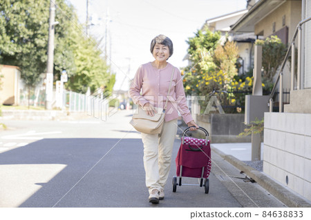 Elderly woman walking with a shopping carry 84638833