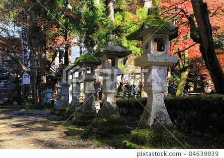 在寺廟的秋葉中漫步·30（岐阜縣伊比郡伊比川町谷組：西國觀音參拜寺） 84639039