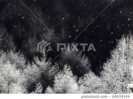 Snow dances in the forest of hoarfrost illuminated by the morning sun 84639344