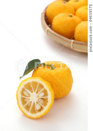 香櫞 香櫞 84639578