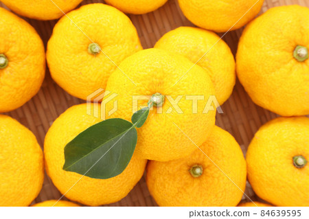 Citron Citron 84639595