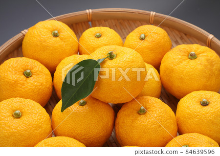 Citron Citron 84639596