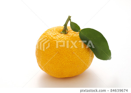 Citron Citron 84639674