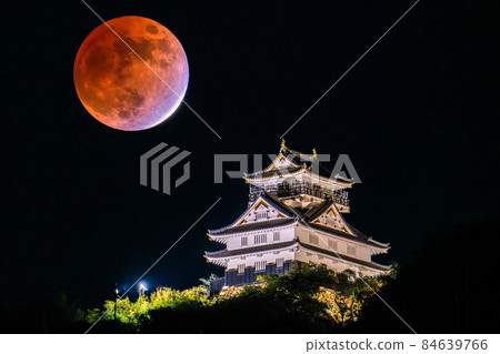 《岐阜縣》岐阜城與月食・2021年11月19日 84639766