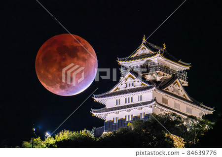 《岐阜縣》岐阜城與月食・2021年11月19日 84639776