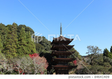 深秋山口琉璃光寺秋葉風光 深秋山口琉璃光寺秋葉風光 84641409