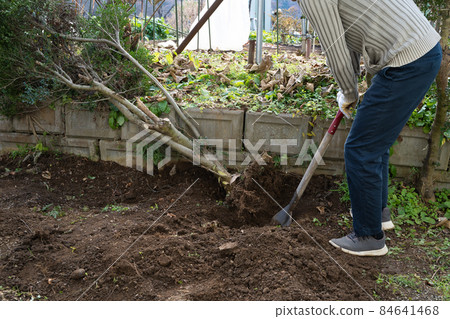 Logging of garden trees Logging of garden trees 84641468