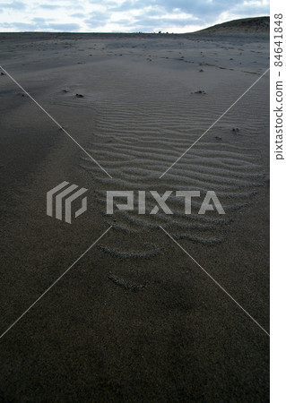 Tottori Four Seasons Walk Winter Tottori Sand Dunes Illuminations Tottori Four Seasons Walk Winter Tottori Sand Dunes Illuminations 84641848