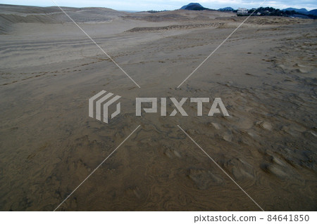 Tottori Four Seasons Walk Winter Tottori Sand Dunes Illuminations Tottori Four Seasons Walk Winter Tottori Sand Dunes Illuminations 84641850