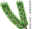 Pine tree branches isolated on white. Vector illustration. 84641935